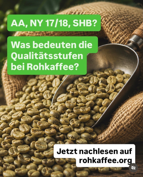 Rohkaffee Qualitätsstufen