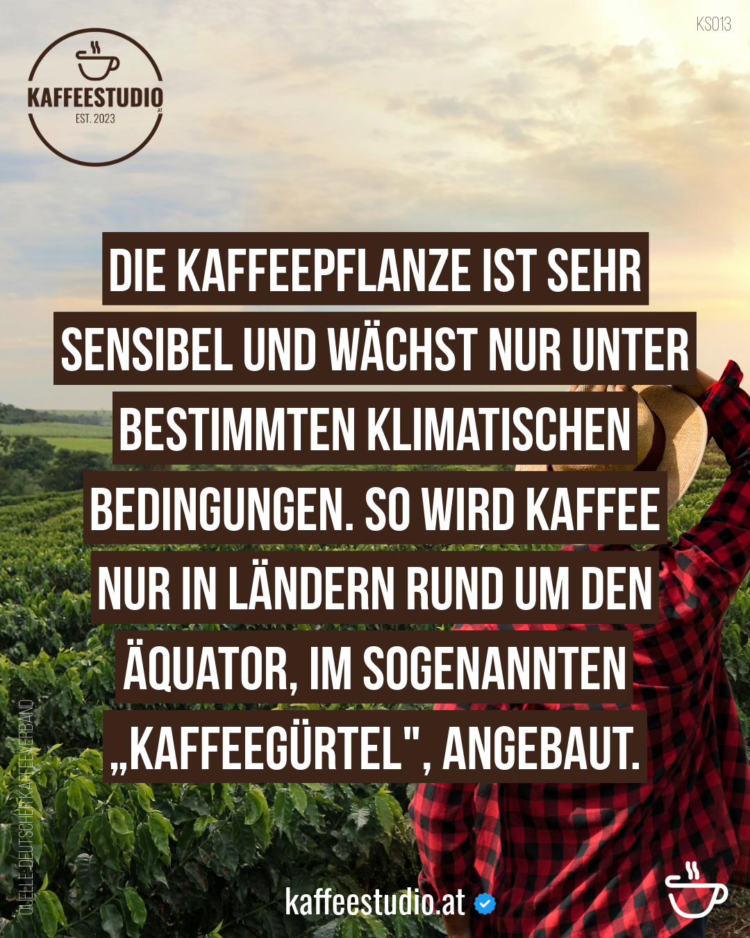 KAFFEEWISEN KAFFEEPFLANZE - DIE KAFFEEPFLANZE IST SEHR SENSIBEL UND WÄCHST NUR UNTER BESTIMMTEN KLIMATISCHEN BEDINGUNGEN. SO WIRD KAFFEE NUR IN LÄNDERN RUND UM DEN ÄQUATOR, IM SOGENANNTEN „KAFFEEGÜRTEL",
", ANGEBAUT.